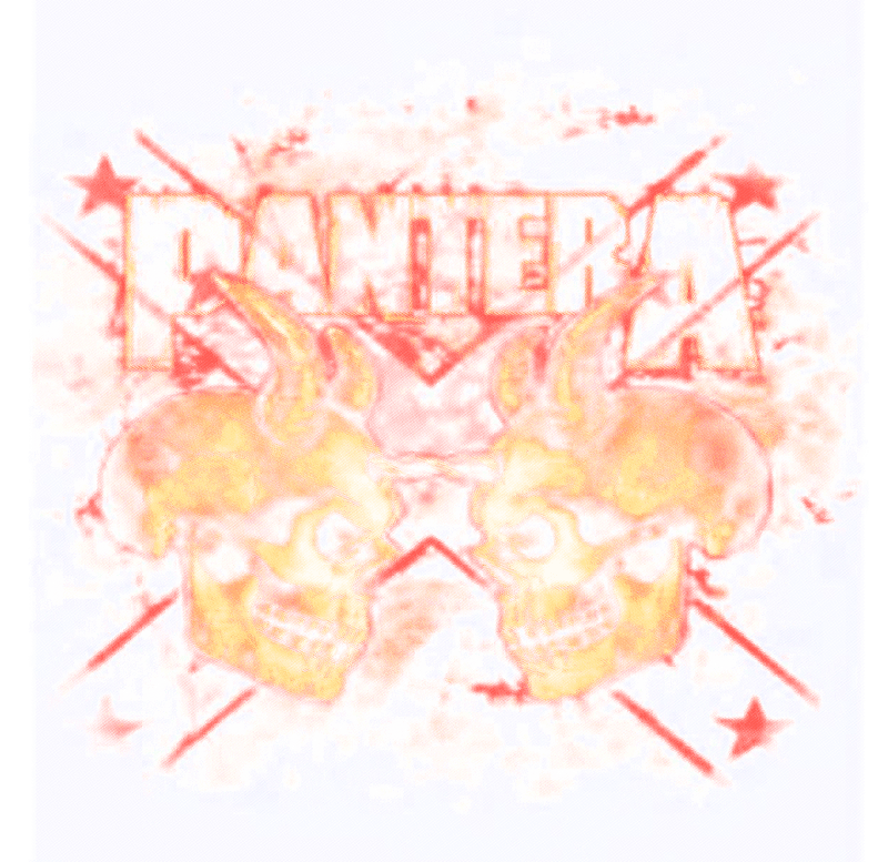 pantera-5